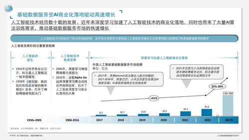 人工智能基础数据服务与软件开发白皮书